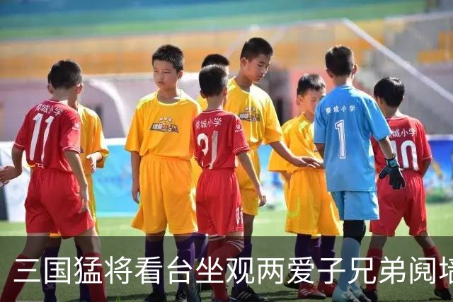 三国猛将看台坐观两爱子兄弟阋墙 弟弟更比哥哥强？