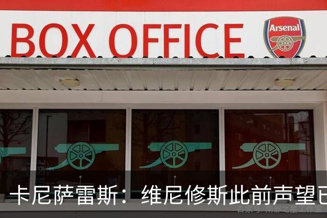 卡尼萨雷斯：维尼修斯此前声望已逐渐透支，他必须重拾昔日荣光