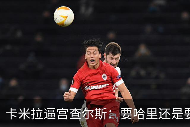 卡米拉"逼宫"查尔斯：要哈里还是要我