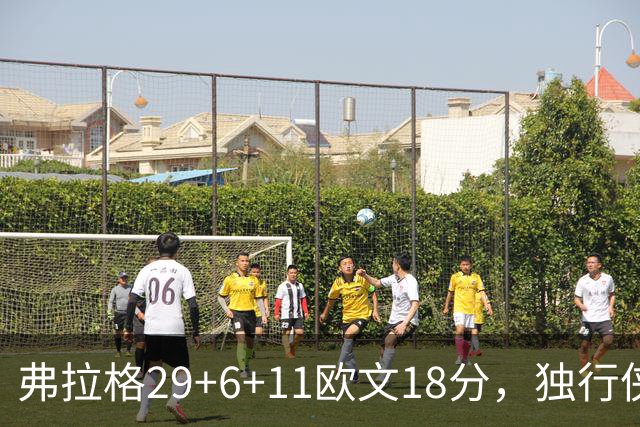 弗拉格29+6+11欧文18分，独行侠客场灭热火，字母三双难阻4连败
