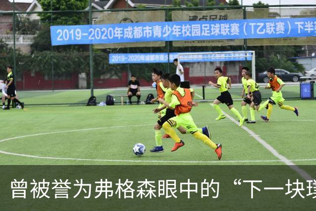 曾被誉为弗格森眼中的“下一块璞玉”，我却成了曼联水货——但我无怨无悔