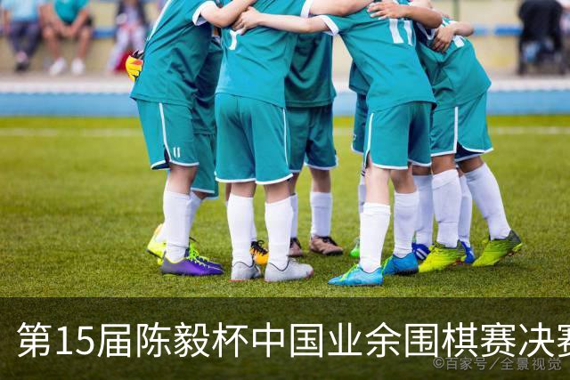 第15届陈毅杯中国业余围棋赛决赛在四川乐至举行