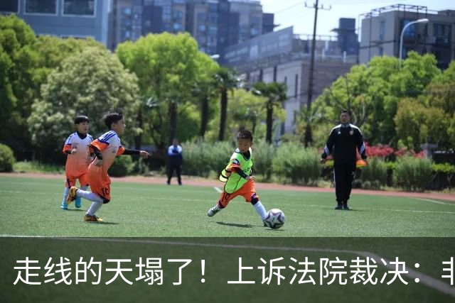 走线的天塌了！上诉法院裁决：非法入境不得保释，无宪法权利