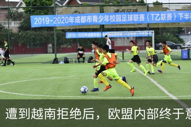 遭到越南拒绝后，欧盟内部终于意识到：什么叫 “中国力量”！