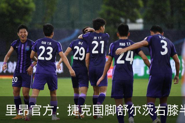 里昂官方：捷克国脚舒尔茨右膝半月板受伤，预计缺阵约4个月