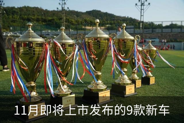 11月即将上市/发布的9款新车